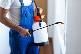 Best Pest Exclusion Services  in Ringgold, GA